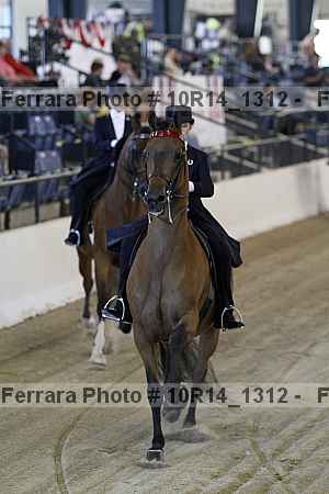 Proof Number 10r14_1312