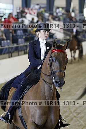 Proof Number 10r14_1313