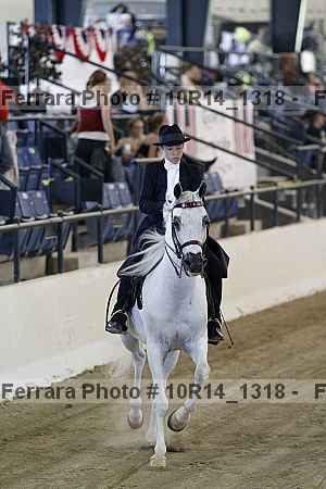 Proof Number 10r14_1318