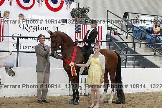 Proof Number 10r14_1322