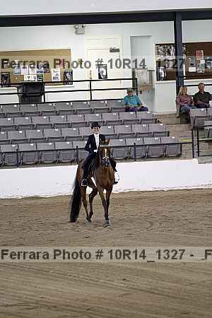 Proof Number 10r14_1327