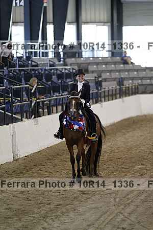 Proof Number 10r14_1336