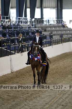 Proof Number 10r14_1337