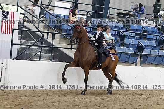 Proof Number 10r14_1351