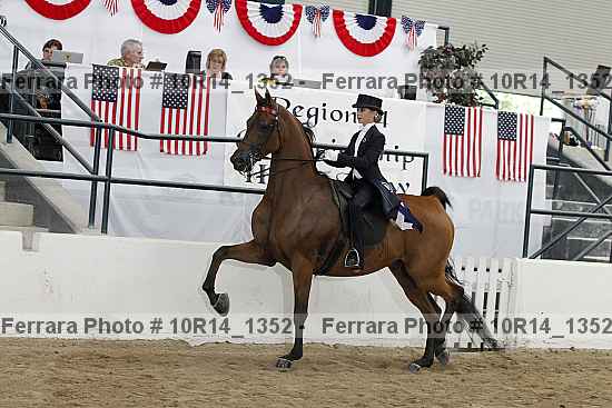 Proof Number 10r14_1352