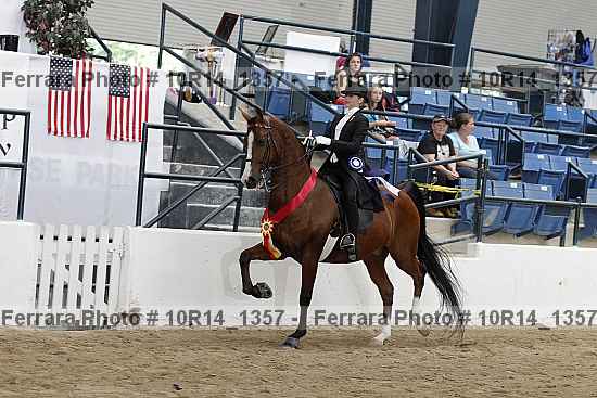 Proof Number 10r14_1357