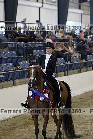 Proof Number 10r14_1360
