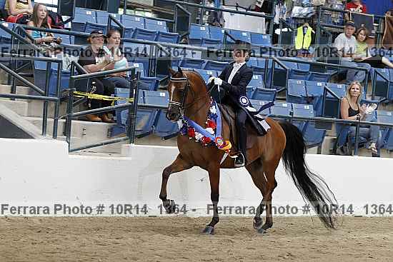 Proof Number 10r14_1364