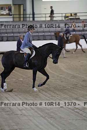 Proof Number 10r14_1370
