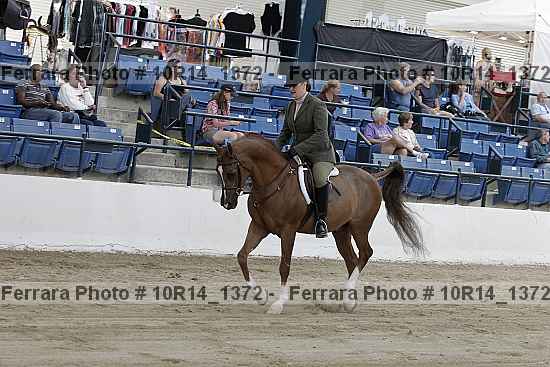 Proof Number 10r14_1372