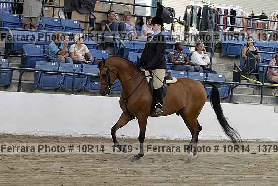Proof Number 10r14_1379