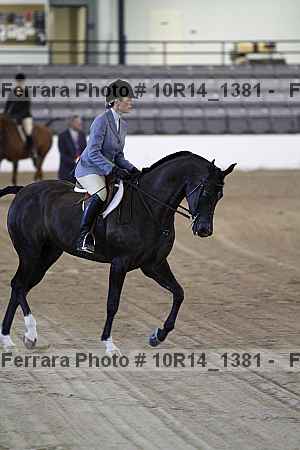 Proof Number 10r14_1381