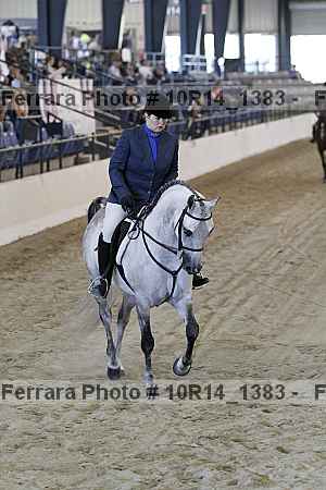 Proof Number 10r14_1383