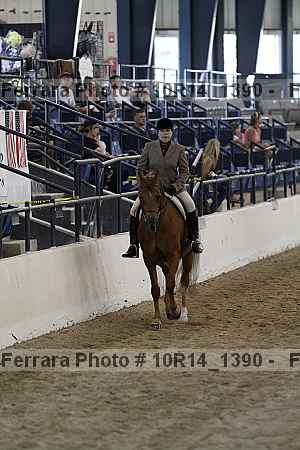 Proof Number 10r14_1390