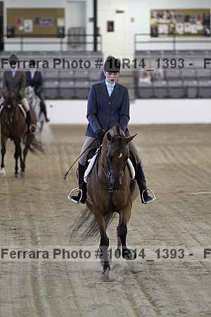 Proof Number 10r14_1393