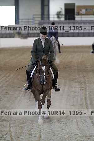 Proof Number 10r14_1395