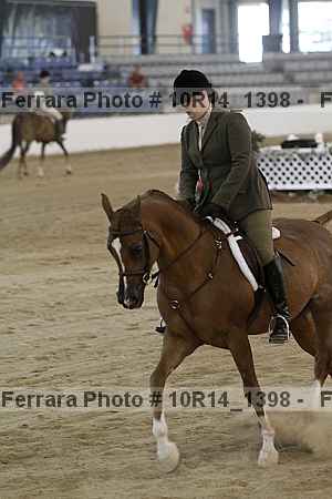 Proof Number 10r14_1398