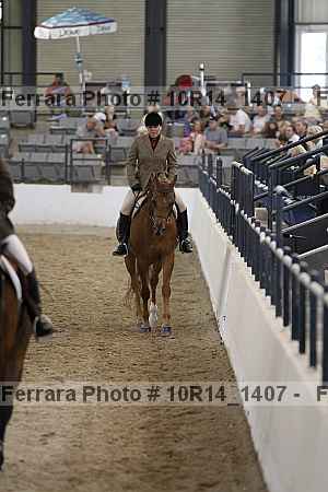 Proof Number 10r14_1407