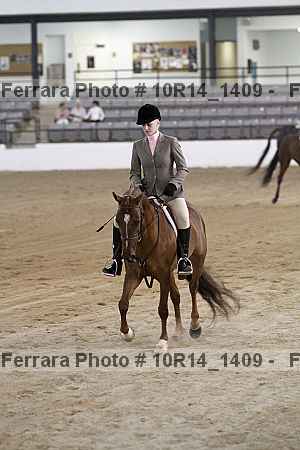 Proof Number 10r14_1409