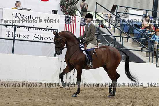 Proof Number 10r14_1421