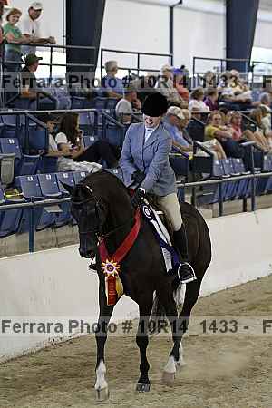 Proof Number 10r14_1433