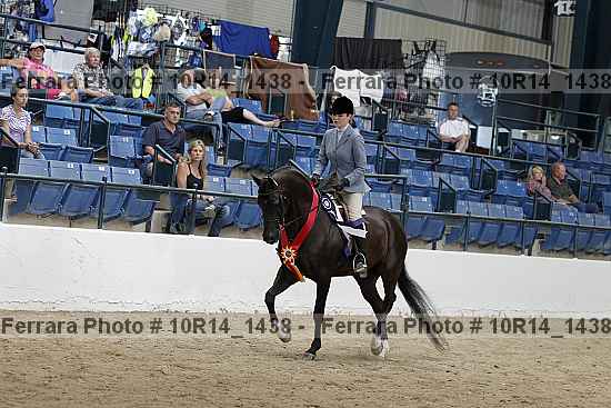 Proof Number 10r14_1438