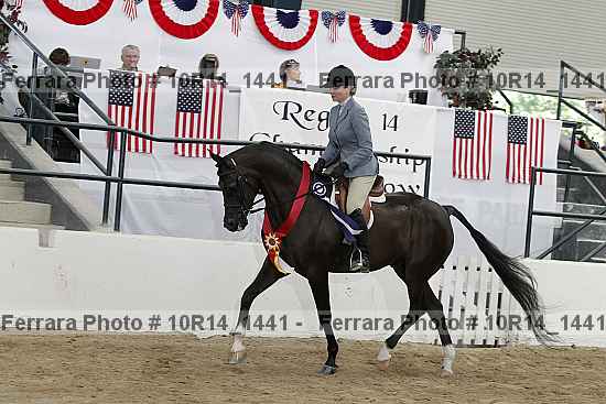 Proof Number 10r14_1441