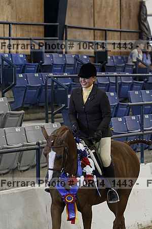 Proof Number 10r14_1443