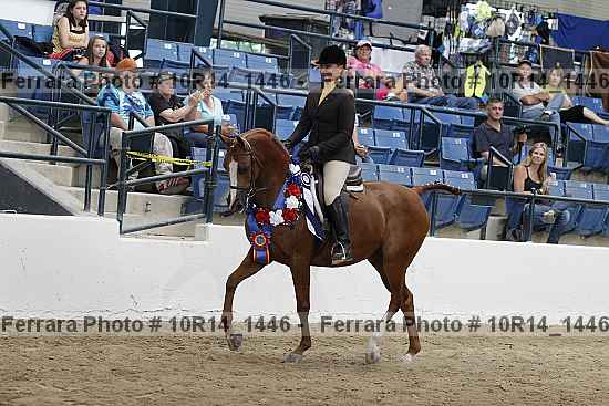 Proof Number 10r14_1446