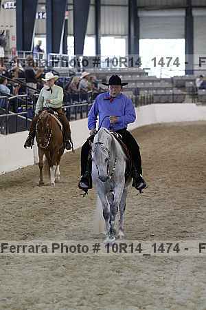 Proof Number 10r14_1474