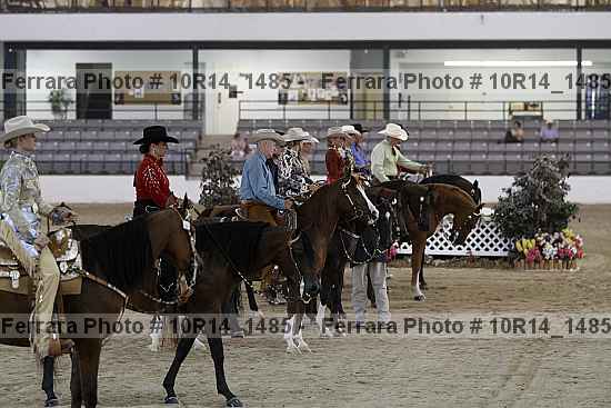 Proof Number 10r14_1485