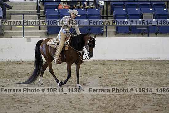 Proof Number 10r14_1486