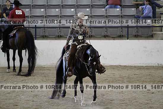 Proof Number 10r14_1487