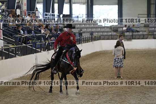 Proof Number 10r14_1489