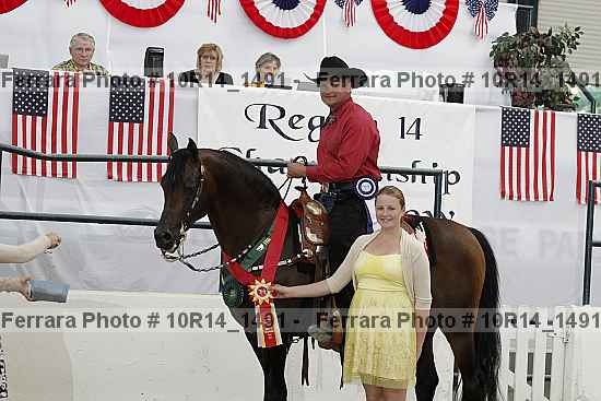 Proof Number 10r14_1491