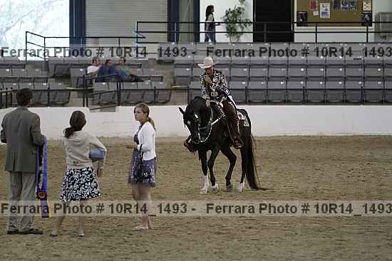 Proof Number 10r14_1493