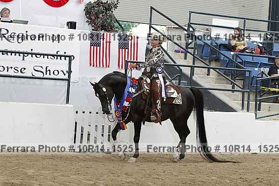 Proof Number 10r14_1525