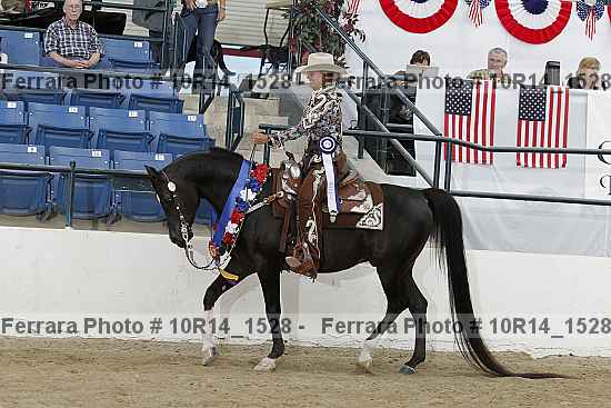 Proof Number 10r14_1528