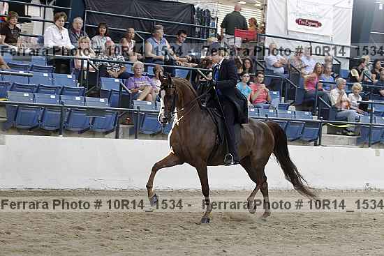 Proof Number 10r14_1534