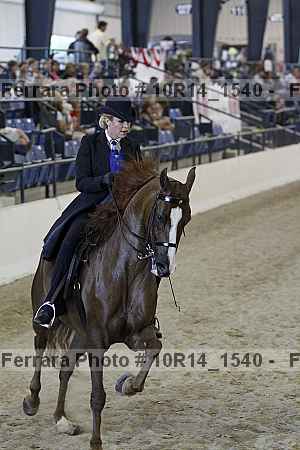 Proof Number 10r14_1540