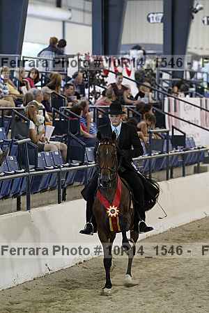 Proof Number 10r14_1546