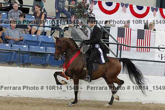 Proof Number 10r14_1549