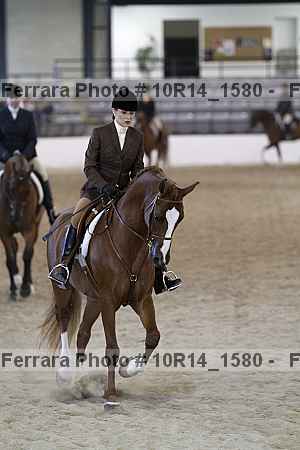 Proof Number 10r14_1580