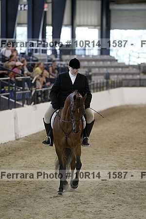 Proof Number 10r14_1587