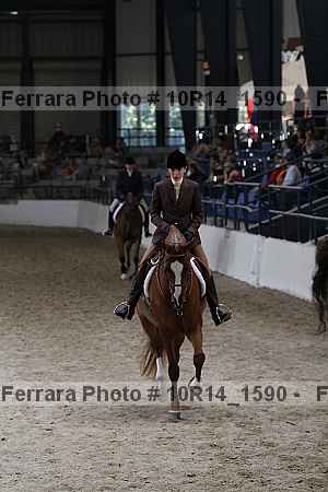 Proof Number 10r14_1590