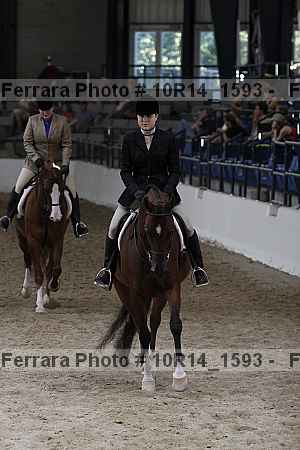 Proof Number 10r14_1593