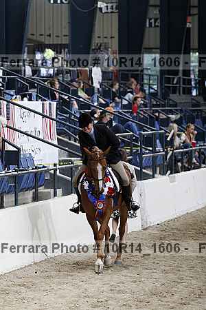 Proof Number 10r14_1606
