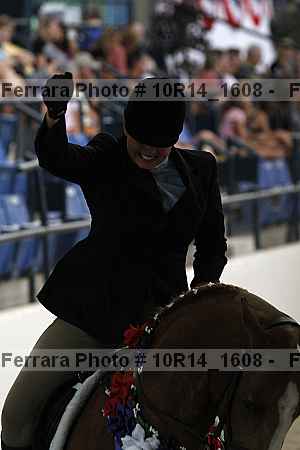Proof Number 10r14_1608