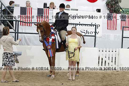 Proof Number 10r14_1609