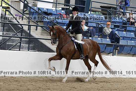 Proof Number 10r14_1611
